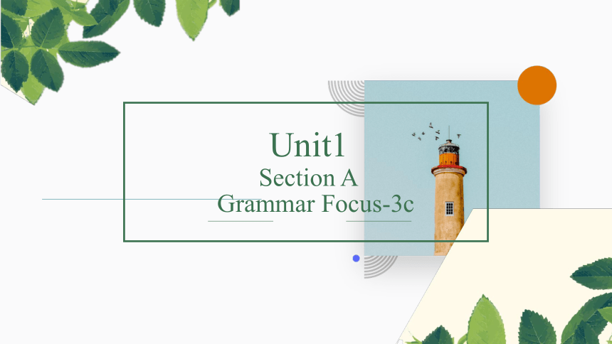 Unit1 Where did you go on vacation? Grammar Focus课件(共27张PPT)