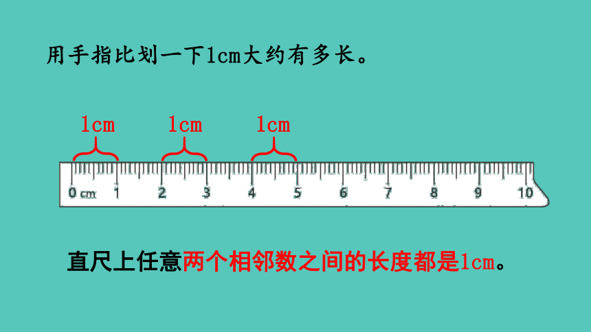 西师大版数学二年级上册5.1 用厘米作单位量长度 课件（共21张ppt)