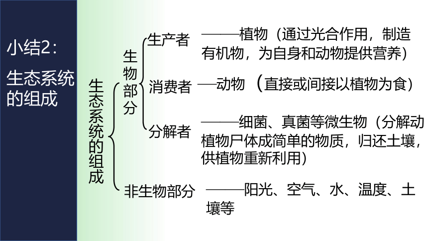 2021——2022学年人教版七年级生物上册1.2.2 生物与环境组成生态系统 课件（21张PPT）