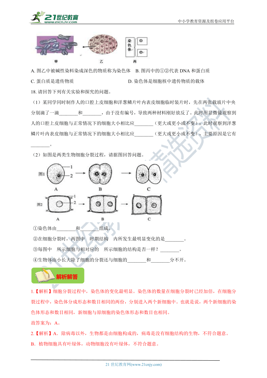 【双减作业本】人教版七上2.2.1细胞通过分裂产生新细胞（夯实基础+提升培优+选做选练）（含解析）