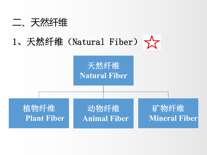 2.1服装用纤维-棉和麻 课件(共55张PPT)-《服装材料》同步教学（中国纺织出版社）