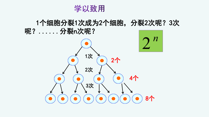 人教版 第二单元 第二章 第一节 细胞通过分裂产生新细胞  课件（共25张PPT ）