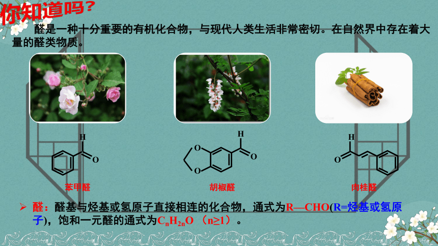 4.2.1醛的性质和应用（含视频）（教学课件）(共23张PPT)—— 2022-2023学年高二化学苏教版（2019）选择性必修3