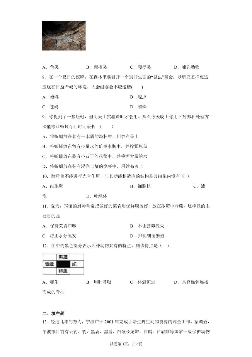 第2章　生物的主要类群 单元练习（含答案）