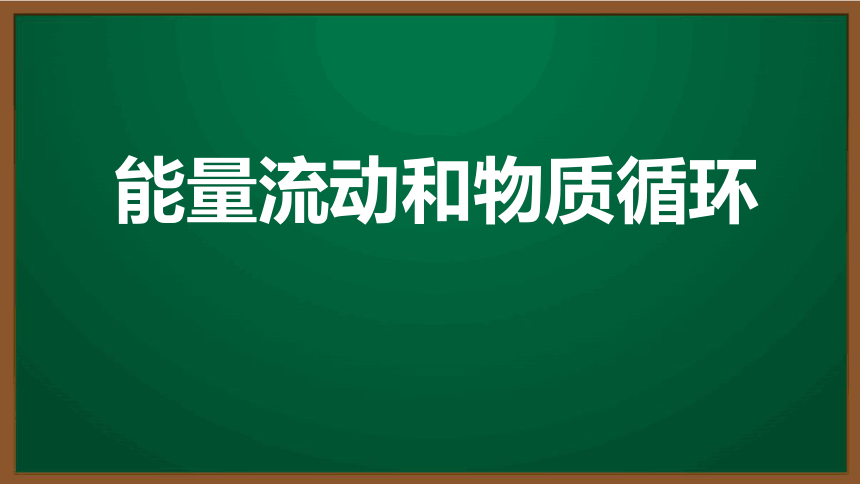 初中生物复习知识点精讲课件 14 能量流动和物质循环