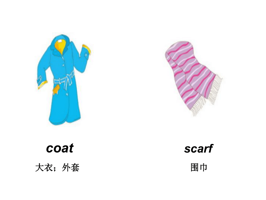 Unit 1  Lesson 3 Coat and Scarf 课件（共12张ppt）