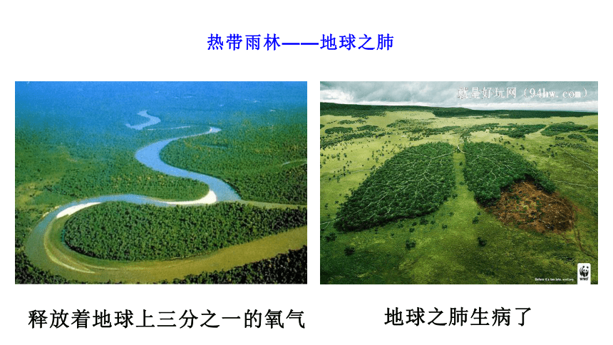 2020-2021学年湘教版七年级地理下册 8.6 巴西 课件（共36张PPT）