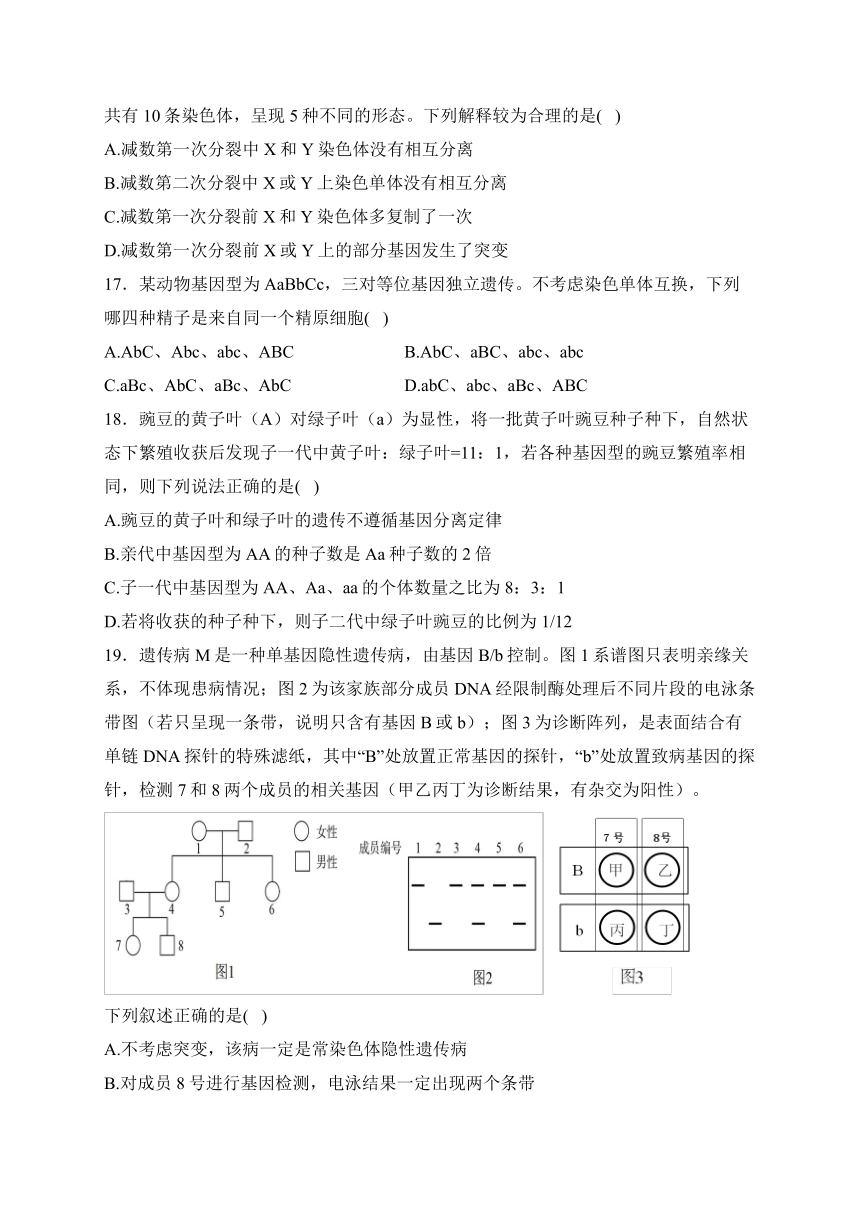 2024年广西壮族自治区南宁市宾阳县高一下学期期中考试生物模拟试题（PDF版含解析）