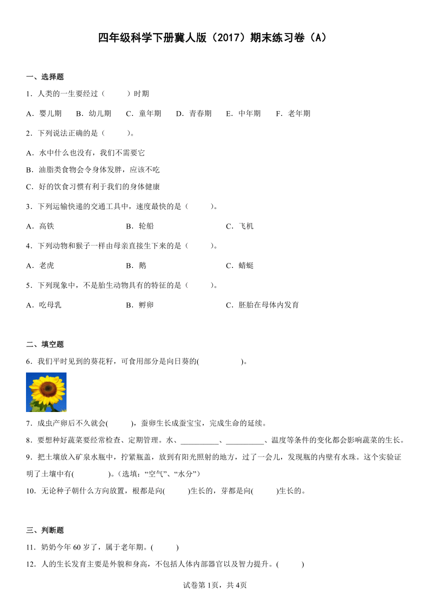 四年级科学下册冀人版（2017）期末练习卷（A）（含答案）