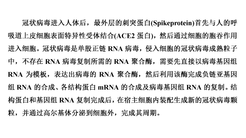 高考生物热点集训15　冠状病毒及其免疫过程(共21张PPT)