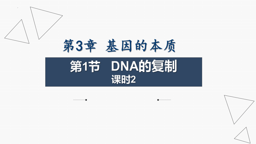 3.3 DNA的复制 第2课时(共21张PPT)课件-2023-2024学年高一下学期生物人教版（2019）必修2