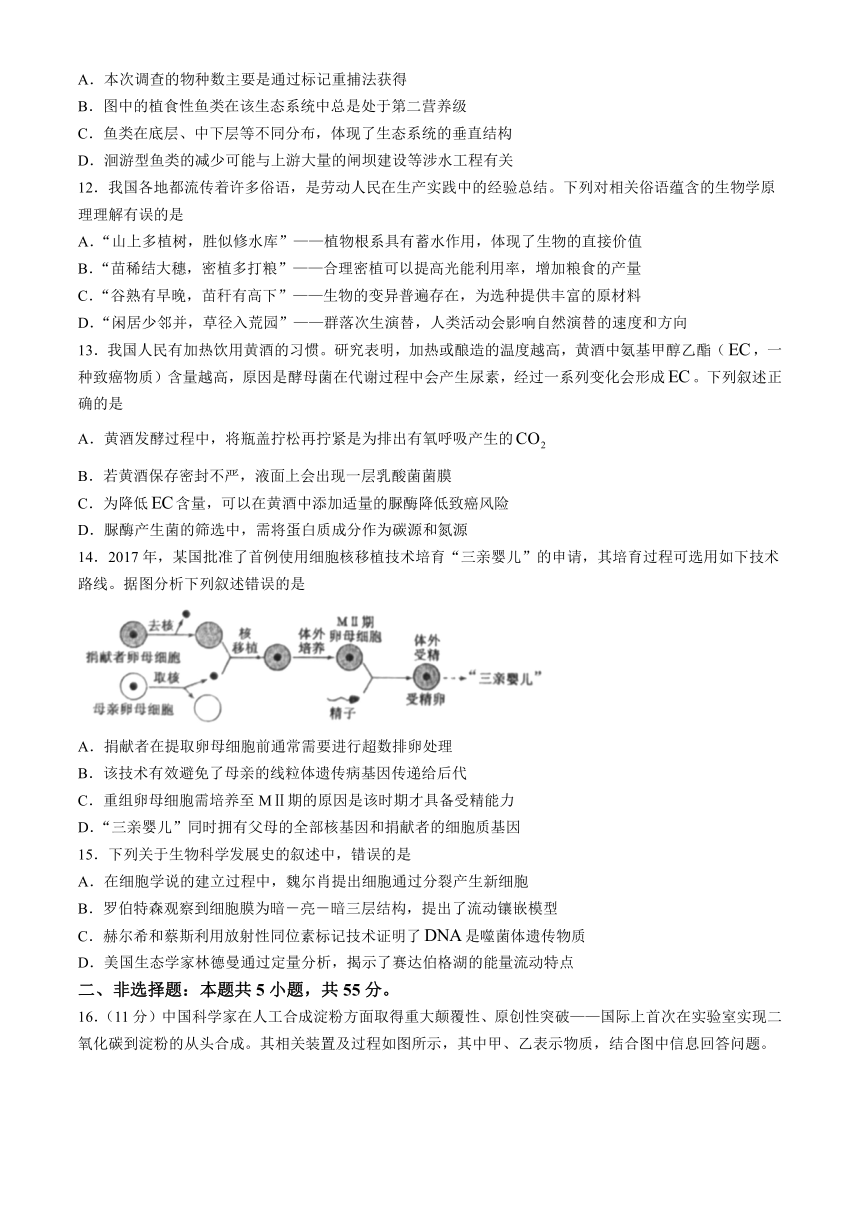 2024届安徽省池州市普通高中高三下学期教学质量统一监测（二模）生物学试题（含解析）