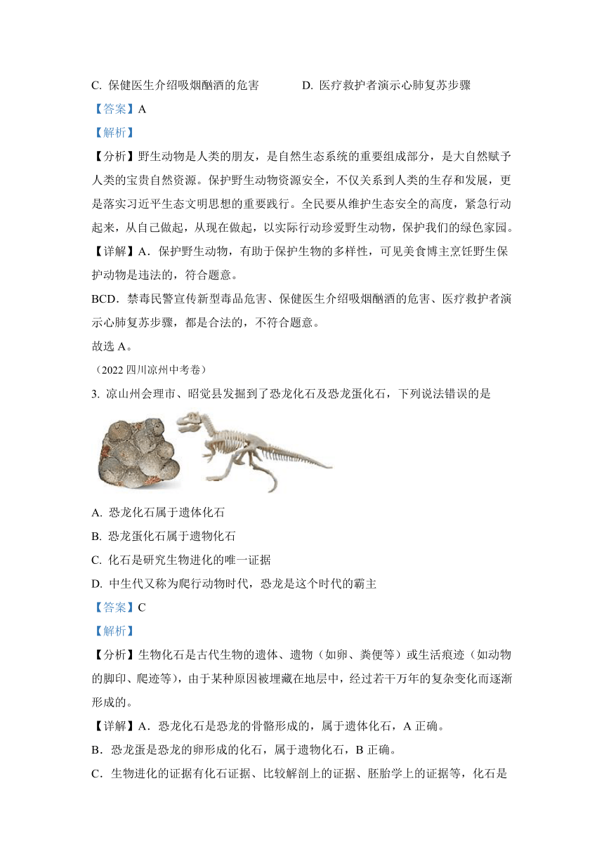 专题10 生物的分类、进化和多样性保护 2022年中考生物真题（全国通用）（试题与答案未分开）