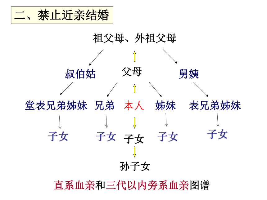 苏教版八年级下册生物 22.2人的性状和遗传 课件（23张PPT）