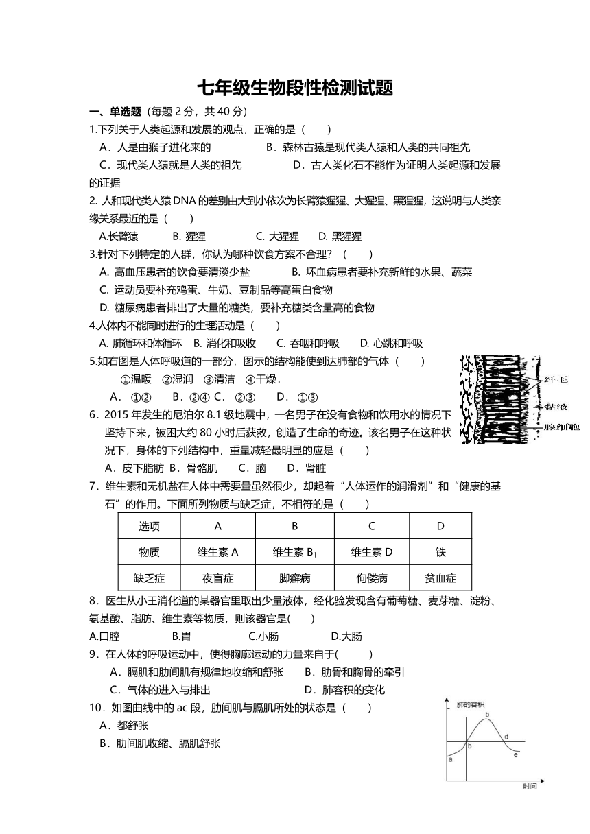 湖南省岳阳市华容县东山中学2022-2023学年七年级下学期3月调研生物试题（无答案）