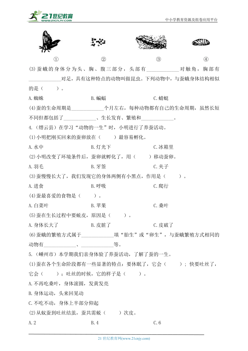 三年级科学下册（教科版）真题调研·热点聚焦 专项3 蚕的一生（含答案）