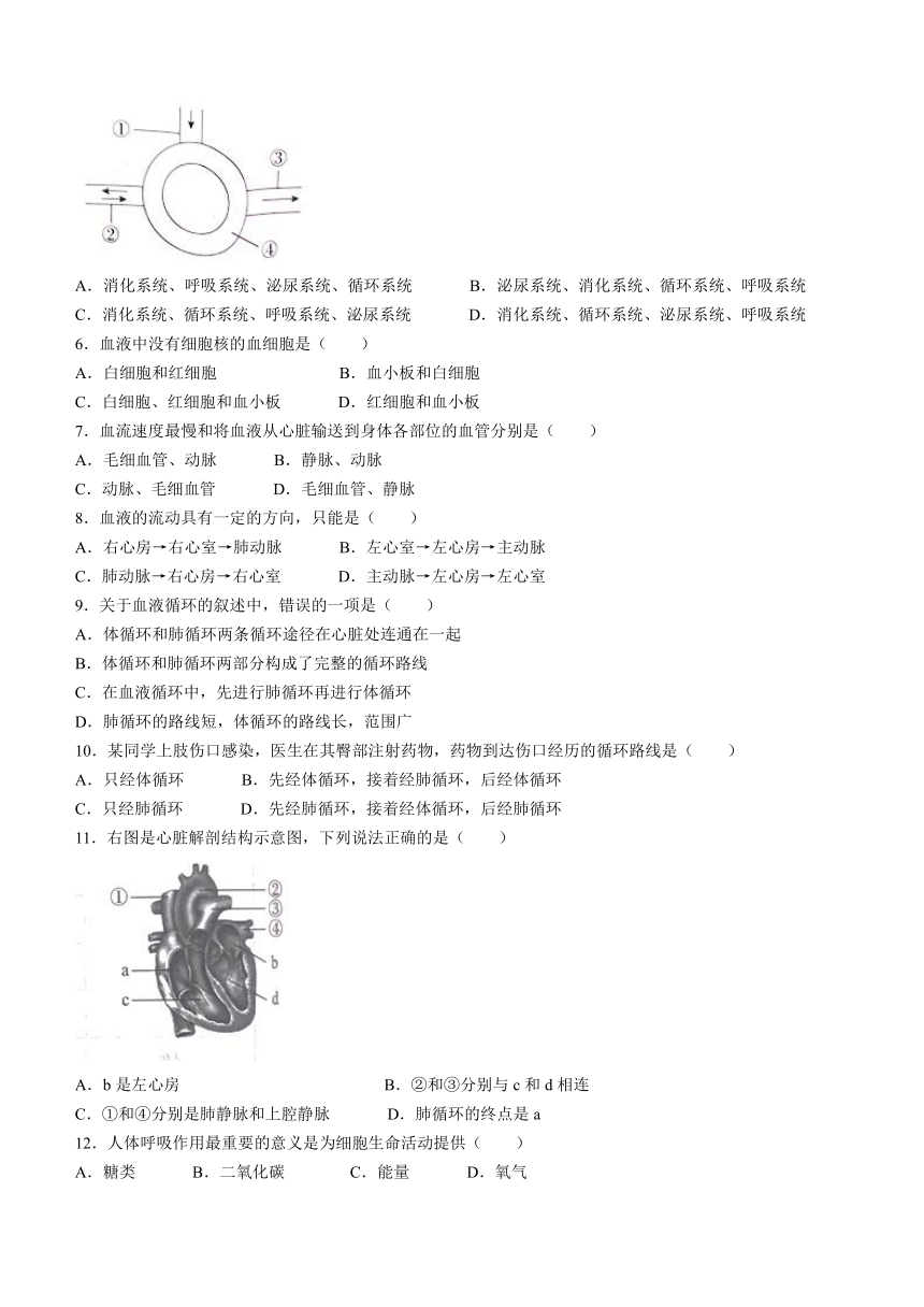 河北省张家口市桥西区2022-2023学年七年级下学期期末生物试题（北师大版）（含答案）