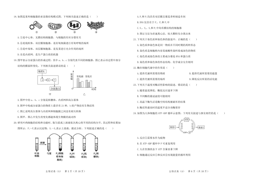 河北省元氏县第四中学2022学年-2023学年高一上学期入学摸底考试生物（A）试卷（PDF版含解析）