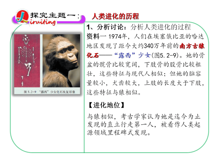 济南版八年级生物下册  5.2.2  人类的进化 课件   (共24张PPT)