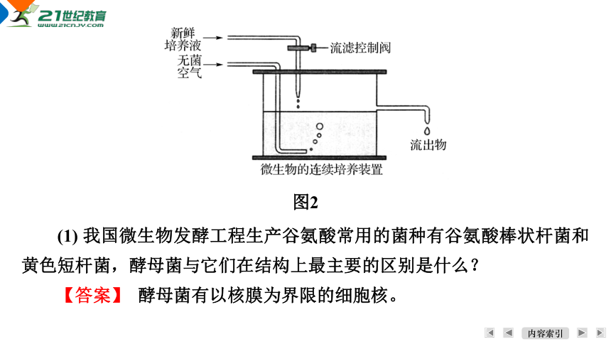 【一轮复习】第2单元细胞的代谢第8课时　发酵工程及其应用课件(共22张PPT)