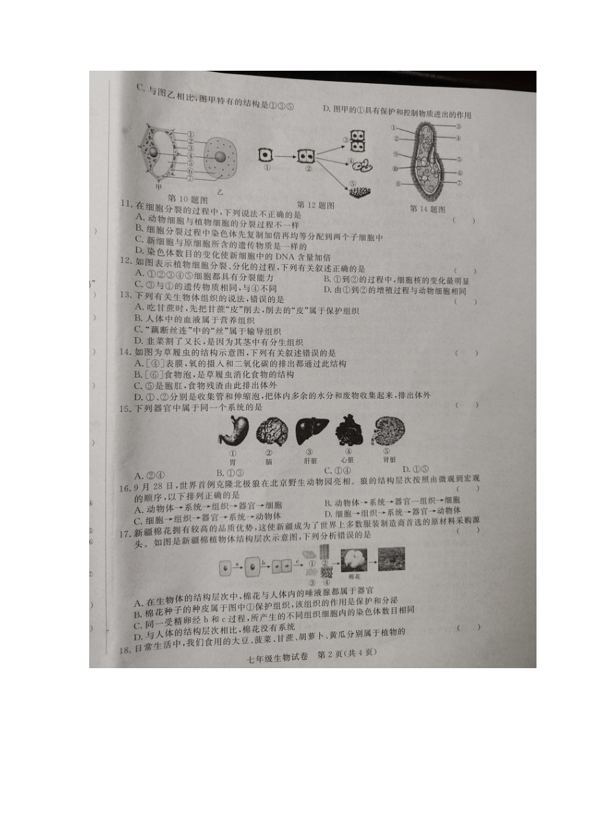 安徽省滁州市凤阳县2022-2023学年七年级上学期期末质量检测生物试卷（图片版 无答案）