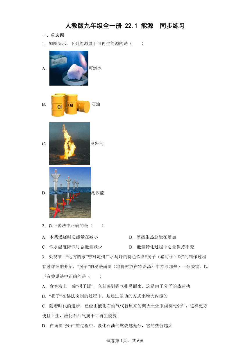 人教版九年级全一册22.1能源  同步练习（有解析）