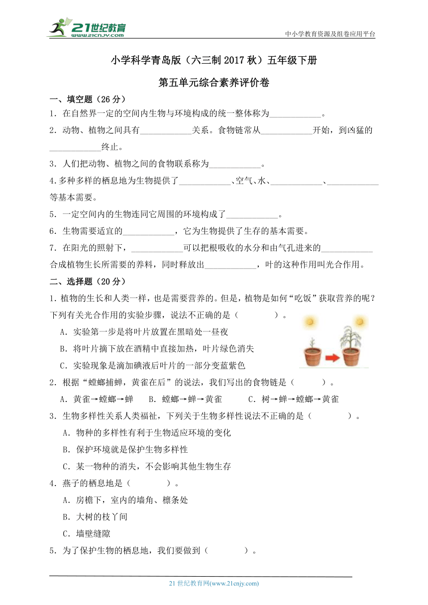 小学科学青岛版（六三制2017秋）五年级下册第五单元综合素养评价卷（含答案）