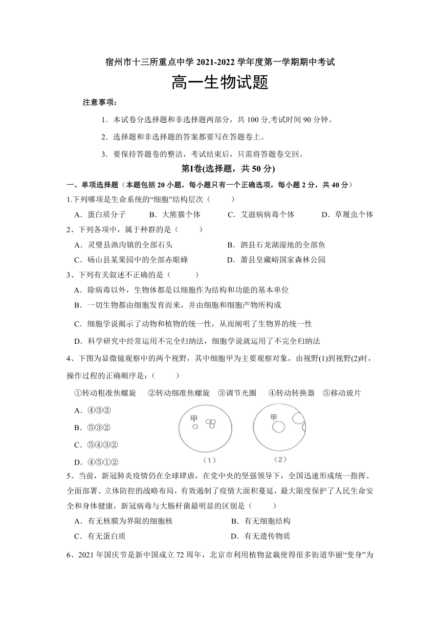 安徽省宿州市十三所重点中学2021-2022学年高一上学期期中考试生物试题（Word版含答案）