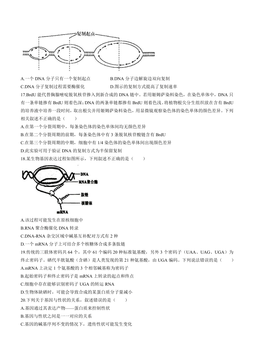 北京市重点中学2022-2023学年高一下学期期中考试生物学试题（选考）（含答案）