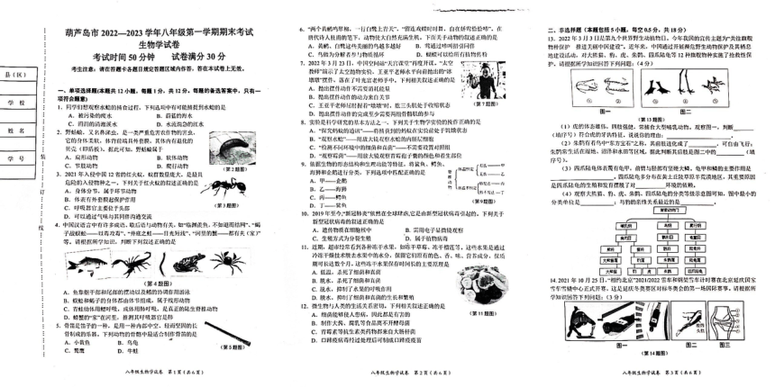 辽宁省葫芦岛市绥中县2022-2023学年八年级上学期期末生物试题（图片版 无答案）