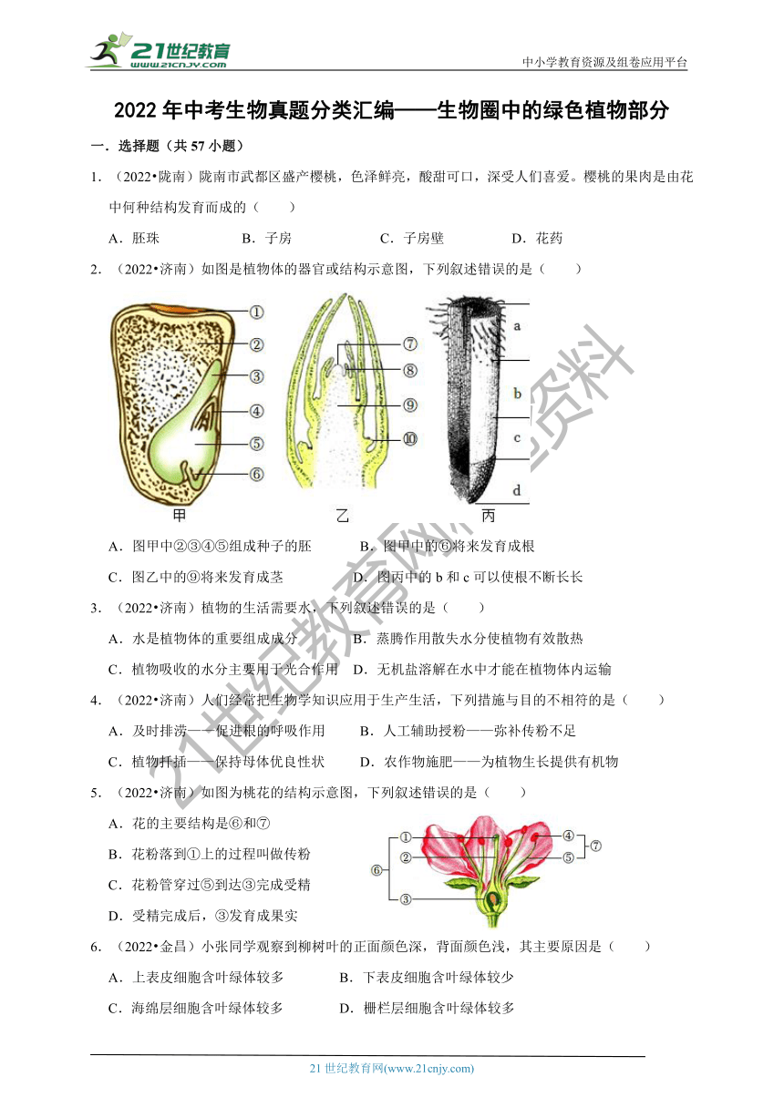 【备考2023】2022年中考生物真题分类汇编3——生物圈中的绿色植物部分（含解析）