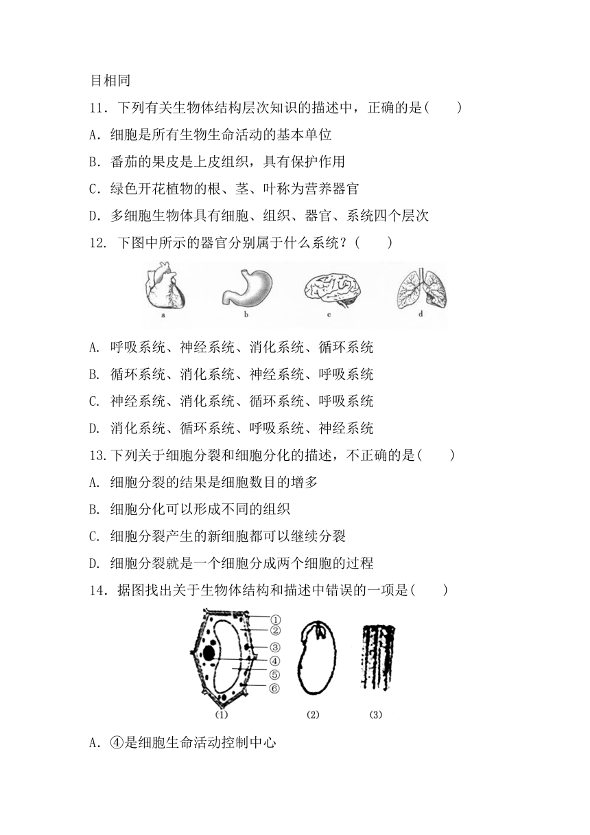 第二单元 第二章细胞怎样构成生物体 单元复习检测题(word版含答案） 2021-2022学年人教版七年级生物上册