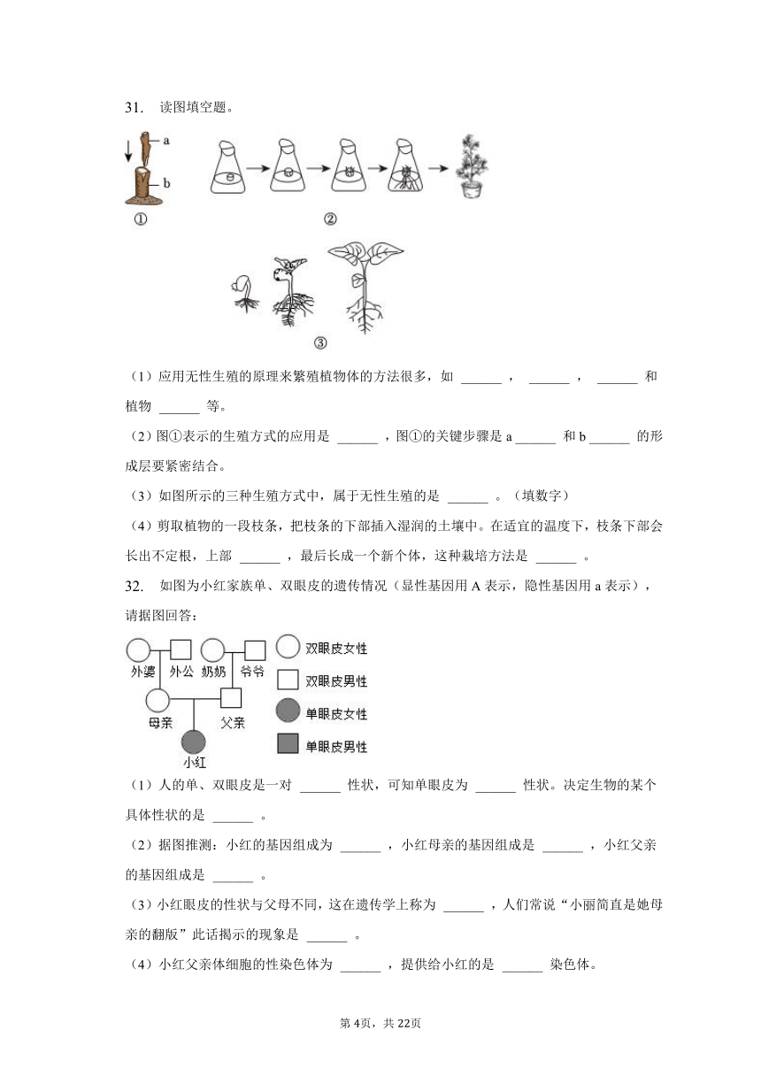 2022-2023学年河北省保定市曲阳县八年级（下）期中生物试卷（含解析）