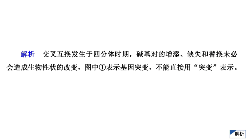 高考生物复习用卷：考点22 基因突变和基因重组（共53张PPT）