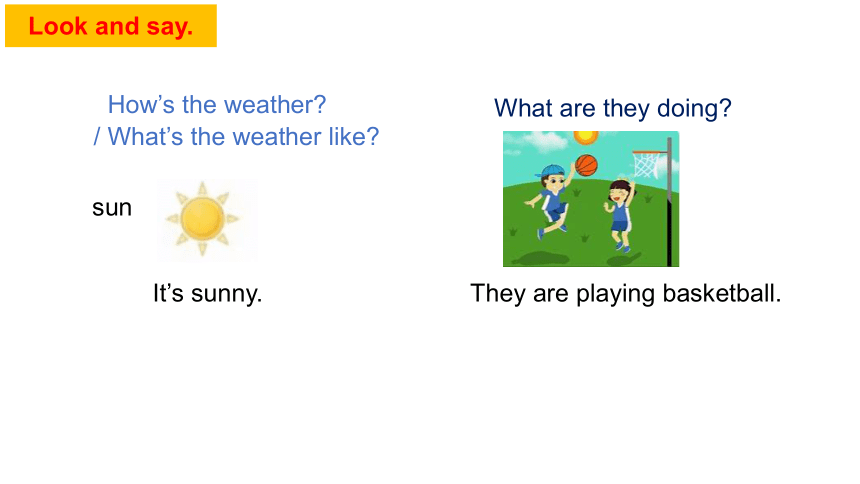 Unit 7 SectionA Grammar Focus -3c 课件（新目标七年级下册）