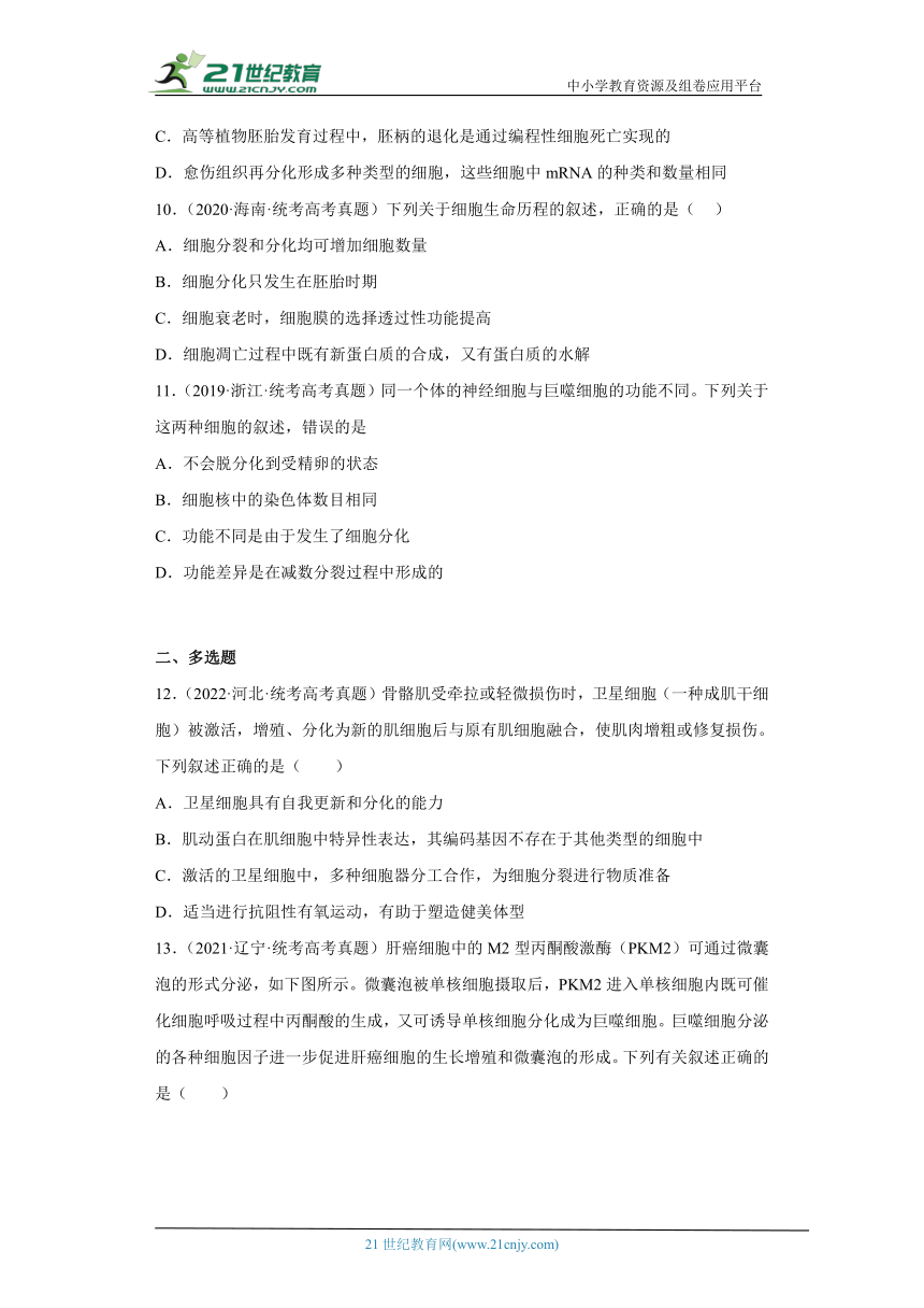 五年2018-2022高考生物真题按知识点分类汇编27-细胞的分化（含解析）