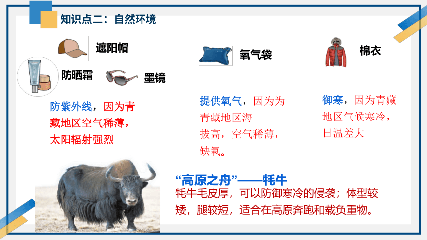 2024年中考地理 青藏地区 复习课件(共16张PPT)