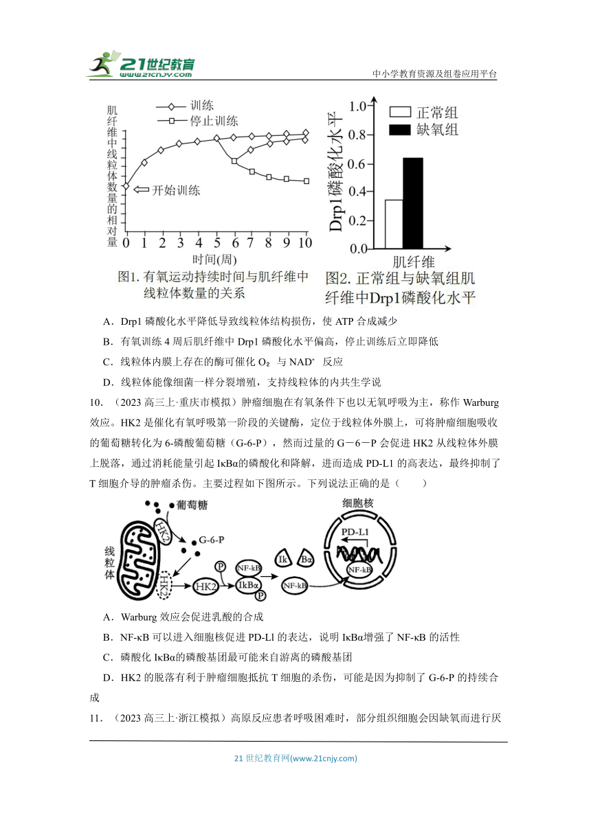 【考前冲刺】专题二 第5练 光合作用和细胞呼吸的过程及相互关系 专项集训（含解析）