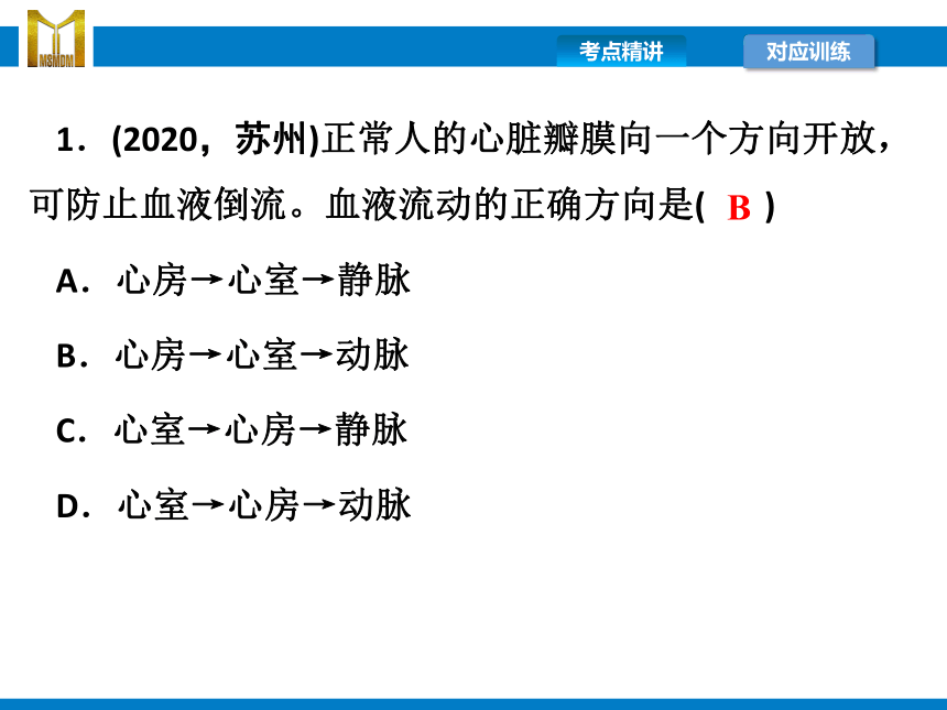 2021年浙江省中考科学复习课件第9讲　人体的物质和能量转换(2)（课件 52张PPT)