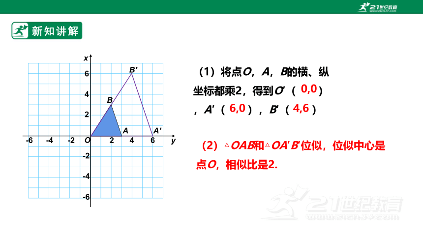 【新课标】4.8.2图形的位似 课件（共25张PPT）