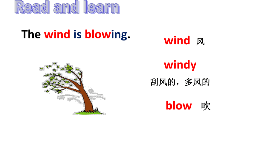 Module 4 Unit10Wind 课件（共36张ppt）