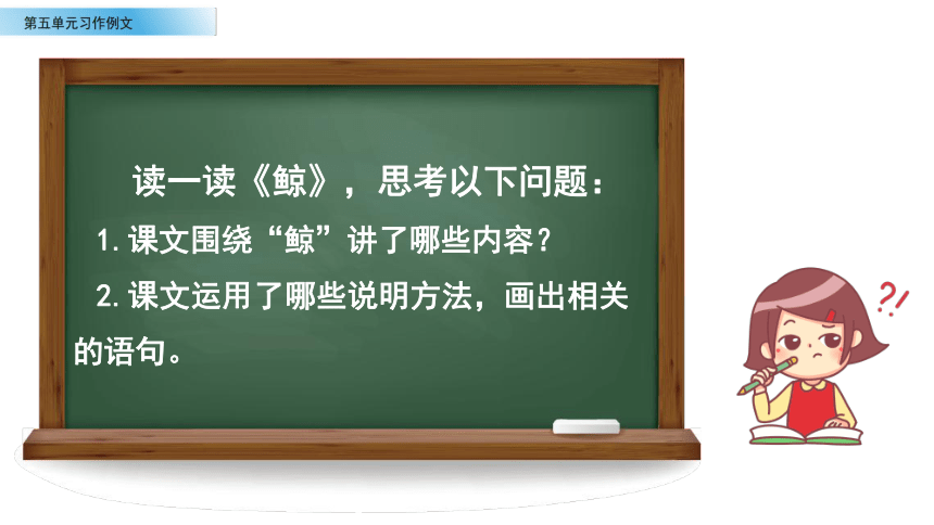 部编版五年级上册第五单元《 习作例文》课件(共12张PPT)