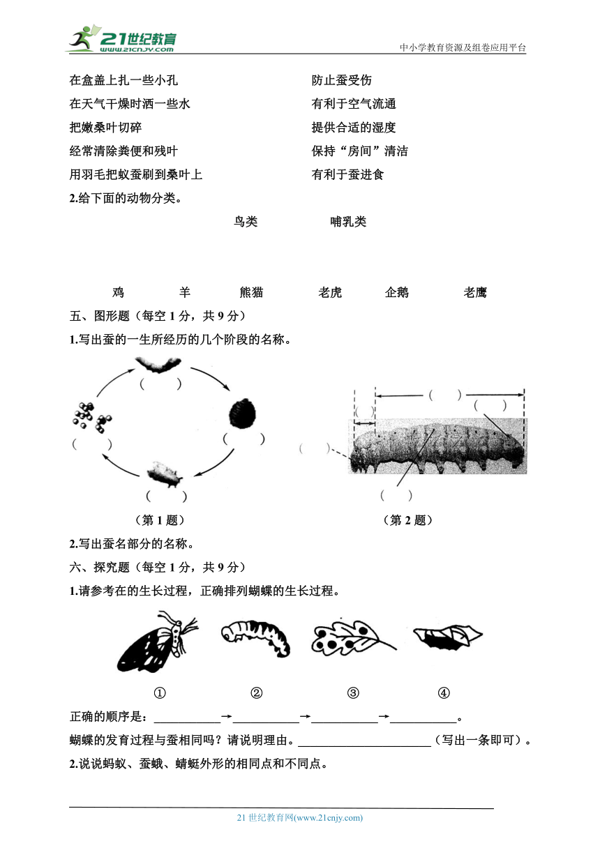 教科版三年级科学下册《动物的一生》单元特训（一）含答案