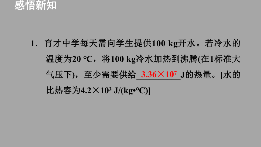 1.3.2《热量计算》习题课件2021-2022学年教科版九年级物理上册（22张）