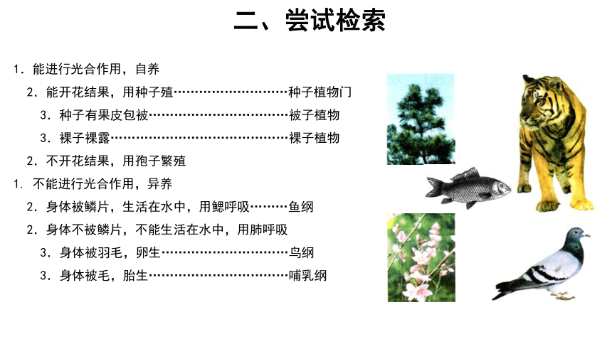 苏科版七年级下册5.14.2生物检索表 课件(共17张PPT)