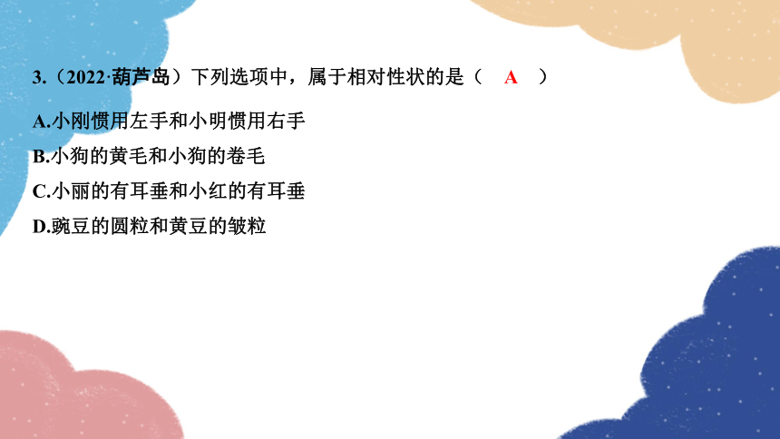 2023年中考生物复习 专题19　生物的遗传与变异习题课件（共17张PPT）