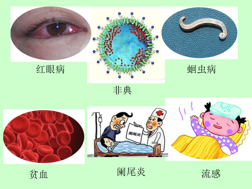 沪教版生物第一册 3.2.1 常见传染病及其预防  课件(共13张PPT)