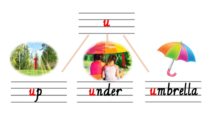 Unit 5 In the Park lesson2 课件(共16张PPT）