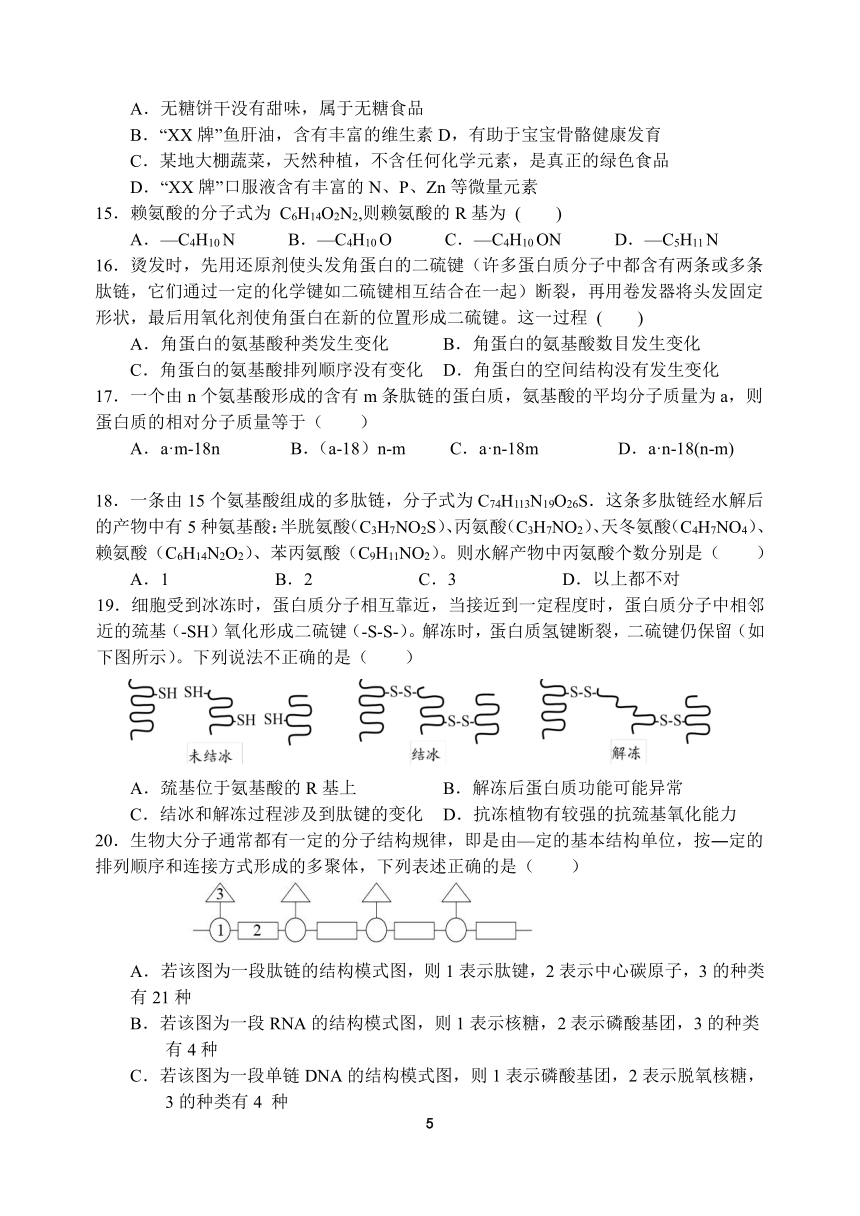 河南省顶级中学2021-2022学年高一上学期12月联考生物试题（PDF版含答案）