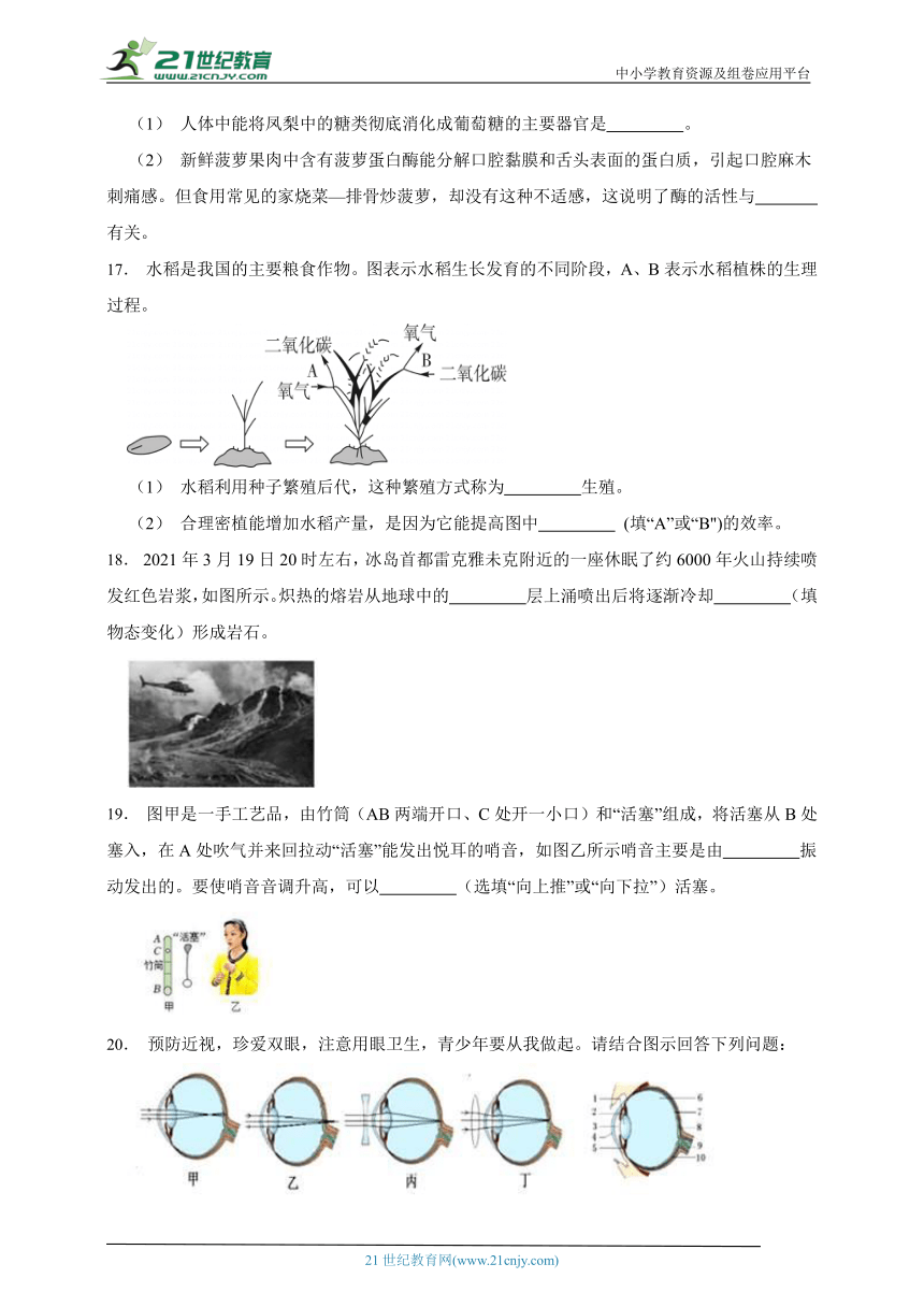 2023年科学中考模拟测试卷3 含解析（满分160分）